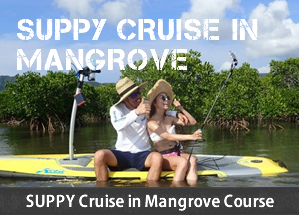 SUPPY Cruise in Mangrove Course